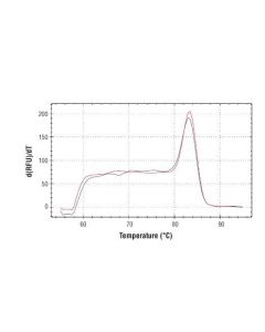 Cell Signaling Simplechip Mouse Cxcl2 Promoter Primers