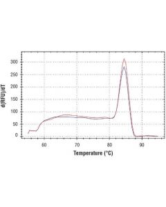 Cell Signaling Simplechip Human Tgfbr2 Promoter Primers