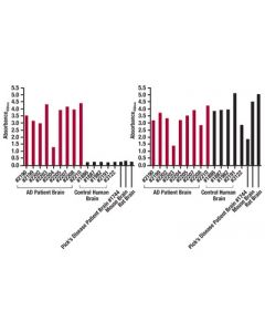 Cell Signaling Pathscan ® Tau (Gt-38) Sandwich Elisa Kit