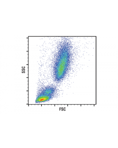 Cell Signaling Rbc Lysis Buffer (10x)