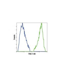 Cell Signaling Tra-1-60(S) (Tra-1-60(S)) Mouse mAb