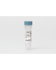 Cell Signaling Cut&Run 4x Stop Buffer