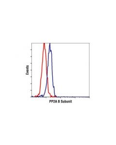 Cell Signaling Pp2a B Subunit Antibody