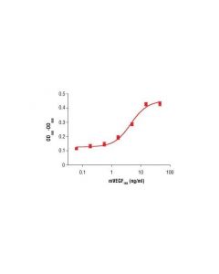 Cell Signaling Mouse Vascular Endothelial Growth Factor-164 (Mvegf 164 )