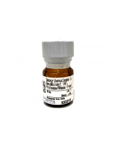 Cell Signaling Deoxyribonuclease I, Recombinant (Animal-Free, Protease And Rnase Free)