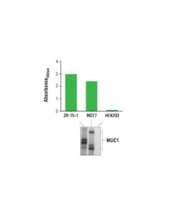 Cell Signaling Pathscan Total Muc1 Sandwich Elisa Kit