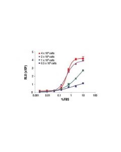 Cell Signaling Brdu Cell Proliferation Chemiluminescent Assay Kit