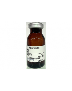 Cell Signaling Hyaluronidase
