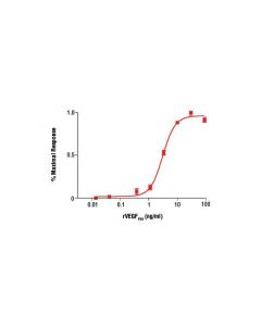 Cell Signaling Rat Vascular Endothelial Growth Factor-164 (Rvegf 164 )