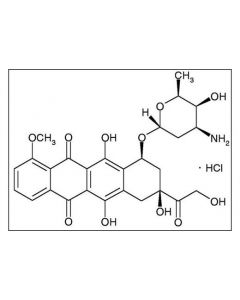 Cell Signaling Doxorubicin