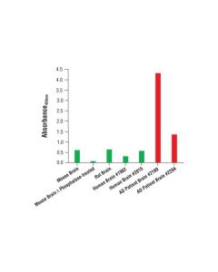 Cell Signaling Pathscan Phospho-Tau (Thr217) Sandwich Elisa Kit