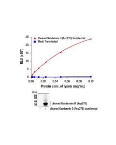 Cell Signaling Pathscan Cleaved Gasdermin D (Asp275) Chemiluminescent Sandwich Elisa Kit