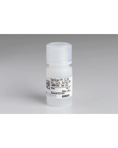 Cell Signaling Fastscan Elisa Cell Extraction Buffer (5x)