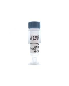 Cell Signaling Rnase A (10 Mg/Ml)