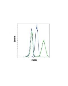 Cell Signaling Pkm1 (D30g6) Xp Rabbit mAb