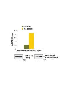 Cell Signaling Pathscan Mono-Methyl-Histone H3 (Lys4) Sandwich Elisa Kit