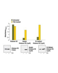 Cell Signaling Pathscan Total Histone H3 Sandwich Elisa Kit