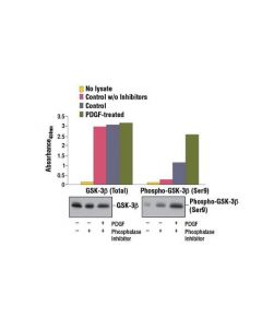Cell Signaling Pathscan Total Gsk-3beta Sandwich Elisa Kit
