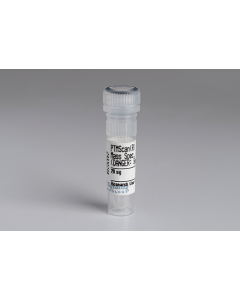 Cell Signaling Ptmscan Trypsin, Mass Spectrometry Grade