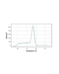 Cell Signaling Simplechip Human Adam9 Intron 11 Primers