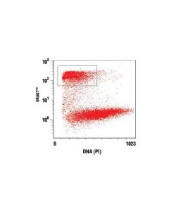Cell Signaling Draq7