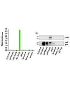 Cell Signaling Pathscan Apoe4 Sandwich Elisa Kit