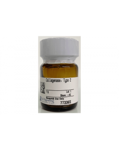 Cell Signaling Collagenase, Type 2