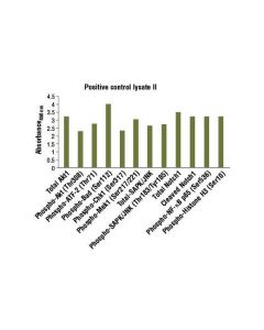 Cell Signaling Pathscan Sandwich Elisa Control Phospho Cell Extract Ii