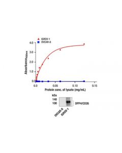 Cell Signaling Pathscan ® Dpp4/Cd26 Sandwich Elisa Kit
