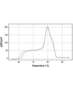 Cell Signaling Simplechip Human Cyp2b7 Pseudogene Promoter Primers