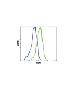 Cell Signaling Rrm1 (D12f12) Xp Rabbit mAb