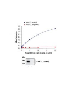 Cell Signaling Fastscan Cas9 ( S. Aureus ) Elisa Kit