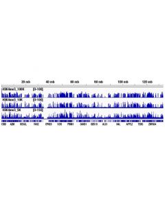 Cell Signaling Cut&Run Assay Kit