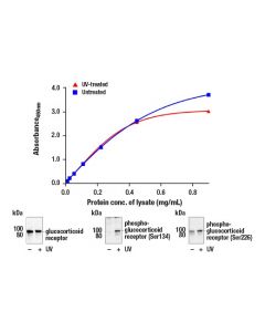 Cell Signaling Fastscan Total Glucocorticoid Receptor Elisa Kit