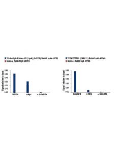Cell Signaling Simplechip Universal Qpcr Master Mix
