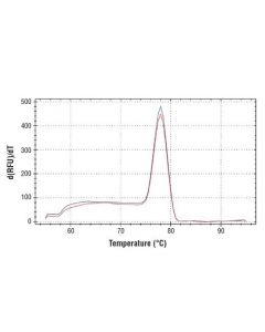 Cell Signaling Simplechip Mouse Tulp4 Promoter Primers