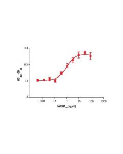 Cell Signaling Human Vascular Endothelial Growth Factor-121 (Hvegf 121 )