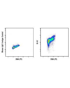 Cell Signaling Ki-67 (8d5) Mouse mAb