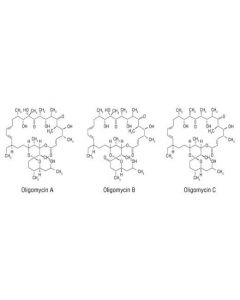 Cell Signaling Oligomycin