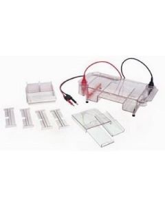 Labnet Enduro 7.7 Horizontal Gel Box 7 X 7 Cm
