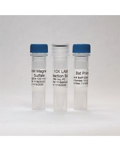 Empirical, a Fortis LS Co. Bst Prime Polymerase With 10x Reaction Buffer (2000 Units)