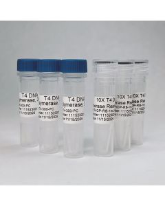 Empirical, a Fortis LS Co. T4 Dna Polymerase, 3000u/Ml (300 Units)