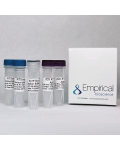 Empirical, a Fortis LS Co. Actiscript Reverse Transcriptase Kit, 400 Reactions