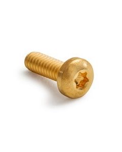 Agilent Screw, M2 X 6, Pan Head Torx Drive, Gold-Plated