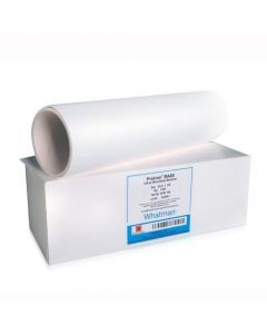 Cytiva Protran Blotting Membrane 25mm dia , Nitrocellulose, BA85, Circleum Pore Size, 80-150ug