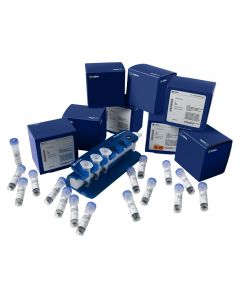 Cytiva Protein A Mag Sepharose , 4 x 200uL, 37 to 100um Particle size, 8mg human IgG mL gel Binding