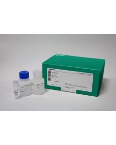 Cytiva illustra Templiphi 2000 Reaction Kit illustra Templiphi 2000 Reaction Kit Prepare circular DNA
