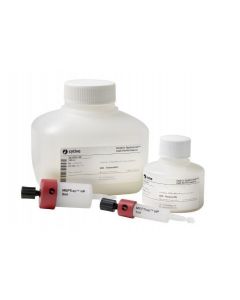 Cytiva Prepacked Column, MBPTrap HP, 1mL, 7 I D x 25mm L, Polypropylene, 4mL min Flow Rate, 34um Particle