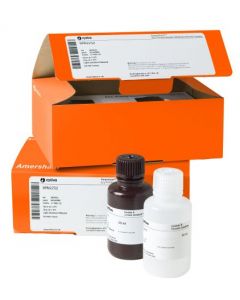 Cytiva Amersham ECL Prime Western Blotting Detection Reagent Highly sensitive chemiluminescent detection