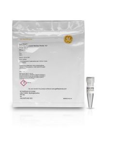 Cytiva ECL Plex Fluorescent Rainbow Markers Protein Molecular Weight Markers optimized for use the